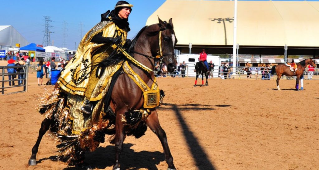 The Arabian Horse Show and 10 Fun Things To Do In Scottsdale This